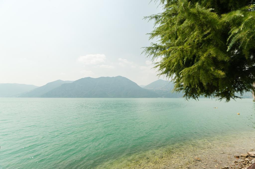 Nest On The Lake Marone Room photo